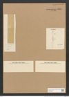 Nitzschia ventricosa Kitt. (de-Toni-Nr.: Genus 47, Species 2147) Zeichnungen Sammlung Grunow Nr. 4324 (NHMW-BOT-W0372356)